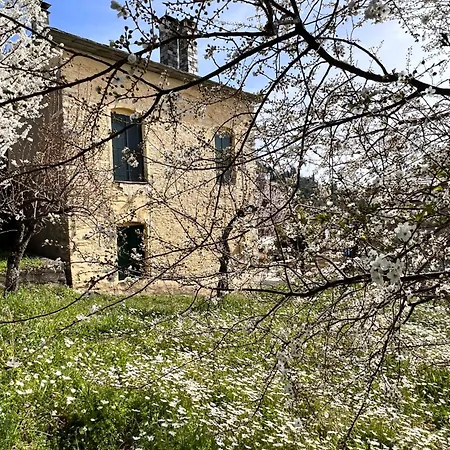 Villa The Yellow Mansion! αγιος γεώργιος νηλείας πήλιο Agios Georgios Nileias