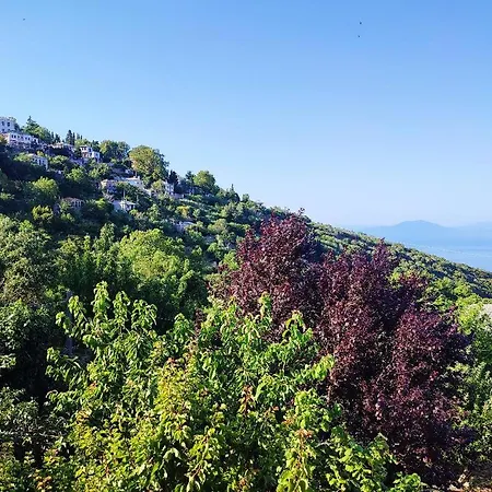 Villa The Yellow Mansion! αγιος γεώργιος νηλείας πήλιο Agios Georgios Nileias