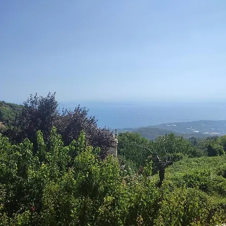 Villa The Yellow Mansion! αγιος γεώργιος νηλείας πήλιο