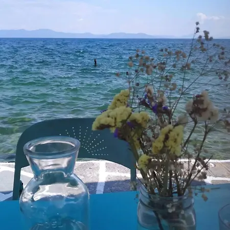 The Yellow Mansion! αγιος γεώργιος νηλείας πήλιο Villa