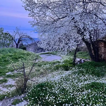 The Yellow Mansion! αγιος γεώργιος νηλείας πήλιο Villa Agios Georgios Nileias